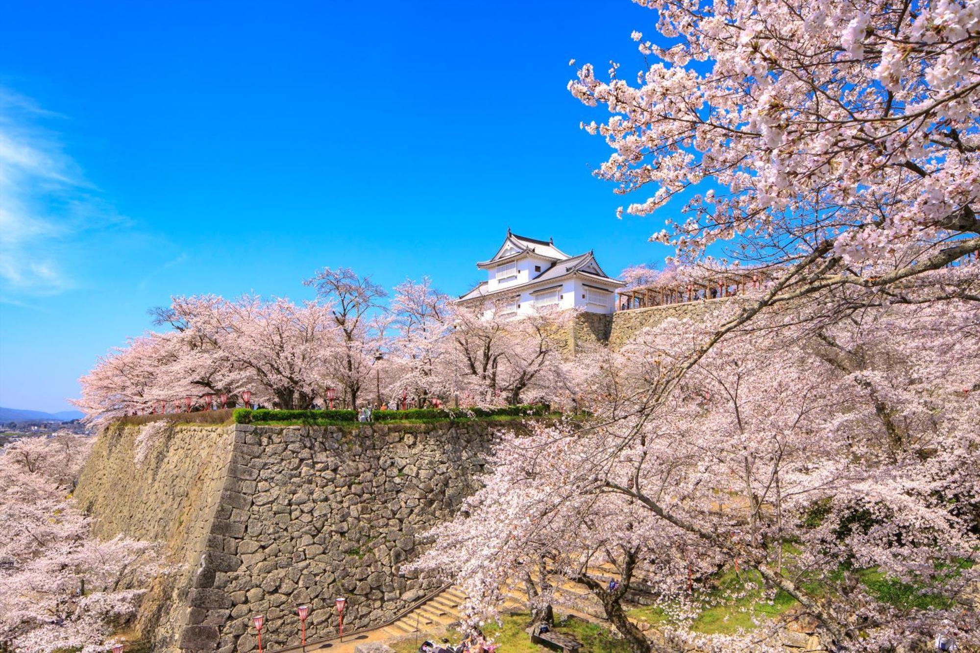 Smile Hotel Okayama Dış mekan fotoğraf